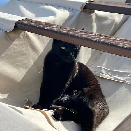 Stunning With Breathtaking View Apartment